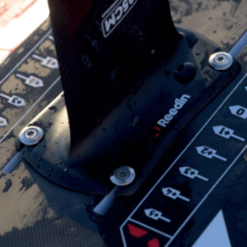 Pack Wing Feather 8 Pack Wing Feather – Image 7