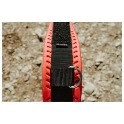 Harnais De Wing Forward Wip Wing Belt 2.0 Black 16 Harnais De Wing Forward Wip Wing Belt 2.0 Black -Duotone Boutique afed4d68bbe0506a0c99e3483c8cab9e98afb599 E23FWWPWAT341961 901