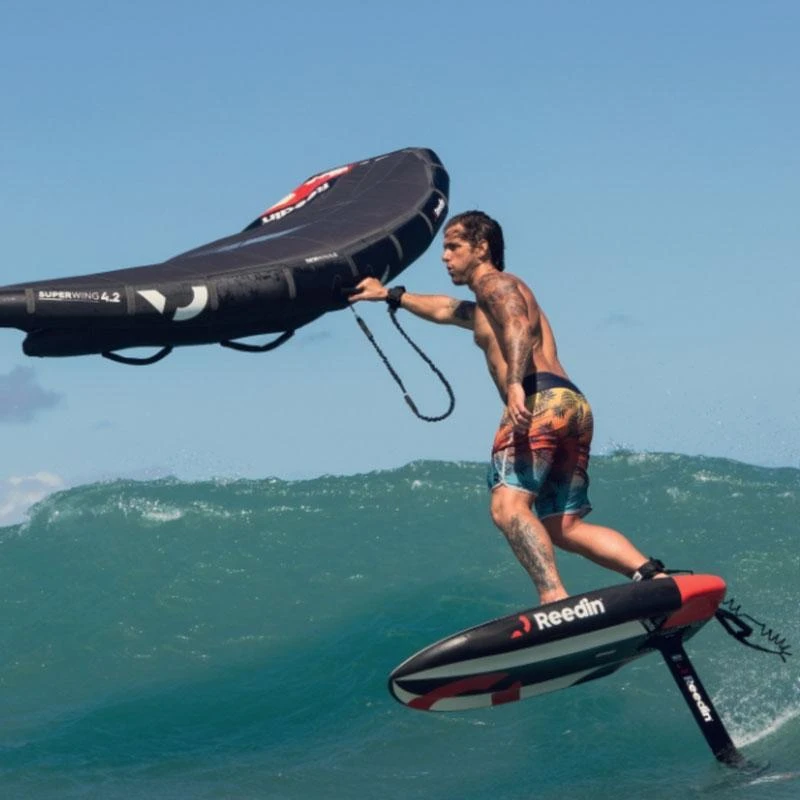 Pack Wing Feather 5 Pack Wing Feather – Image 4